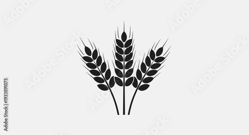 wheat ears isolated on white background
