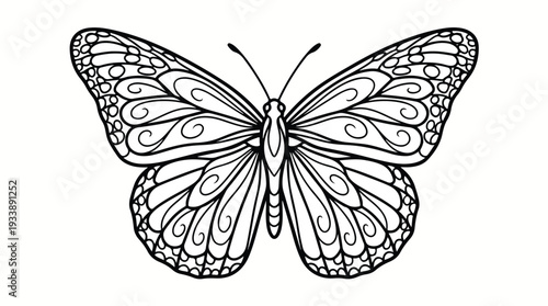 Detailed Black and White Butterfly Illustration.