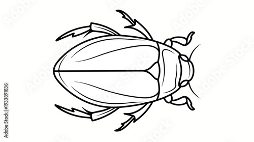 Line Art Illustration of a Water Beetle.