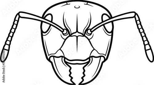 Close-up illustration of an ants head with detailed features.