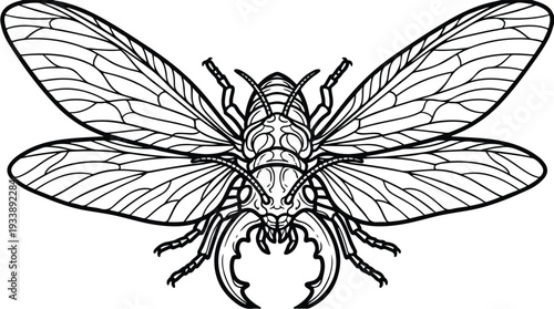 Detailed Line Art Illustration of a Large Insect with Wings and Mandibles.