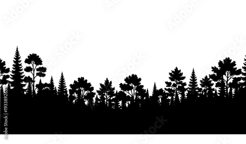 Panoramic Forest Landscape Silhouette Vector Illustration Trees Outdoor Hiking Scene on White Background