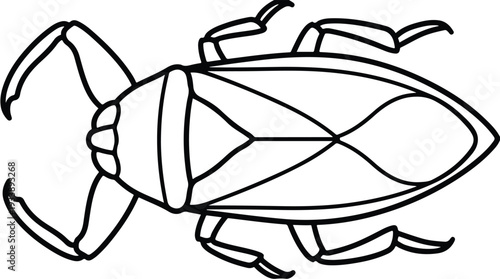 Illustration of a Giant Water Bug in Black and White.