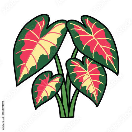 Colorful Caladium Plant Illustration Featuring Vibrant Foliage, Green Stems, and Decorative Leaves from a Front View