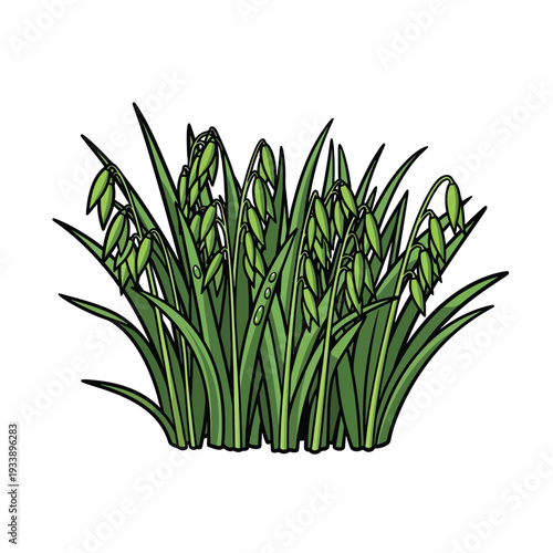 Illustration of lush green grass with buds, a serene scene from a close-up viewpoint