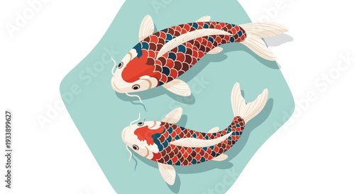 Two Koi Fish Swimming Together