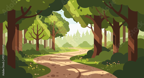 Forest Path Sunlight Rays Nature Landscape