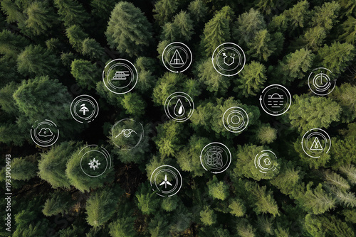 Net zero icons on the top view of the forest for Carbon neutral and net zero concept natural environment Climate-neutral long-term strategy greenhouse gas emissions targets