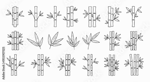 Collection of Various Leafy Plant Illustrations.