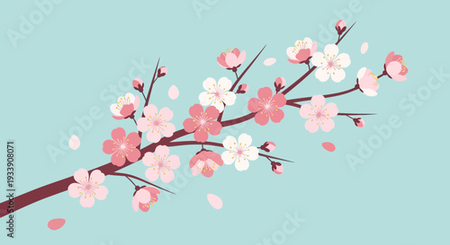 Cherry Blossom Branch with Falling Petals on Blue Background