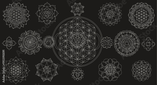 Illustrations of Japanese Torii Gate in Various Styles are shown