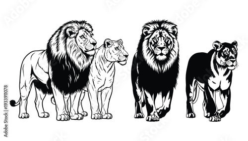 Female lion silhouette vector for wildlife and safari themes