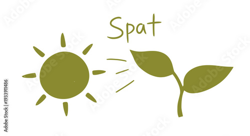 Spat Seedling Growing Under Sunlight Illustration.