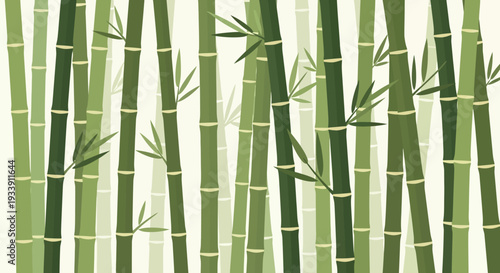 Bamboo Forest Background