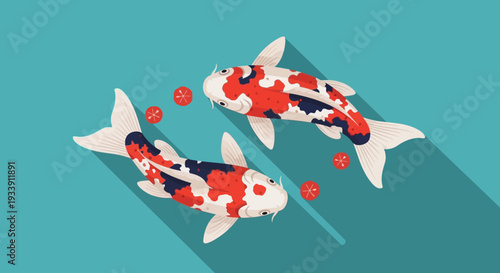Two Koi Fish Swimming in Circle, Red and White