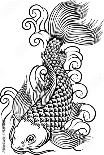 A koi carp coy fish. An original illustration in a vintage Japanese woodcut art style.
