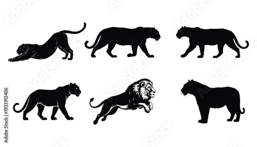 Female lion silhouette collection vector