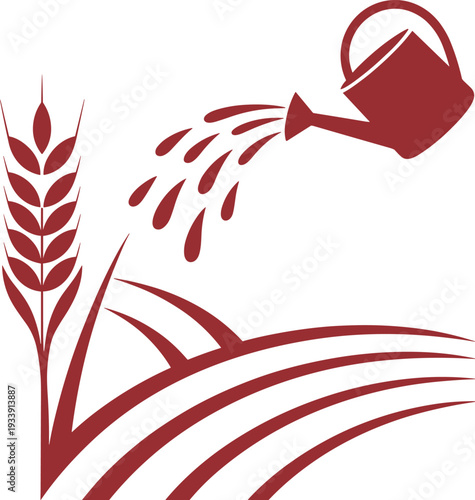Watering can pouring water on wheat stalk in farm field, agriculture growth concept, organic farming icon, sustainable harvest vector illustration, cultivation