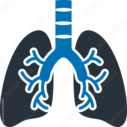 Lungs