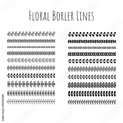 Hand Drawn Floral Border Line Set, Botanical Leaf Berry Branch Divider Strip, Outline and Solid Glyph Style, Nature Vine Wedding Decoration Element, Vector Illustration Isolated on White Background