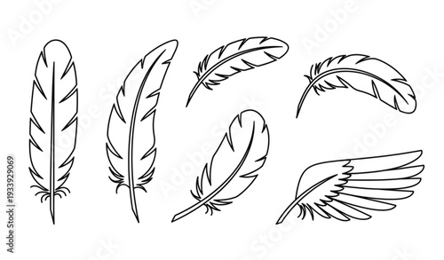 Minimal outline bird feather icon collection vector isolated on transparent background