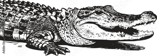 Detailed black and white illustration of a crocodile lying down with its mouth slightly open