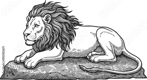 majestic lion reclining on rock male big cat with flowing mane resting calmly in wilderness