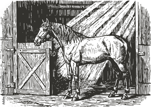 Detailed vintage illustration of horse standing in barn illuminated by sunlight beams