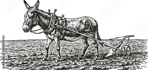 Donkey pulling traditional plow in a field, agricultural farming scene, vintage rural illustration