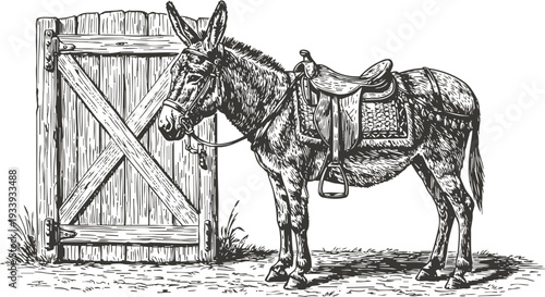 Donkey standing near wooden barn door with saddle and reins, vintage rustic farm animal illustration