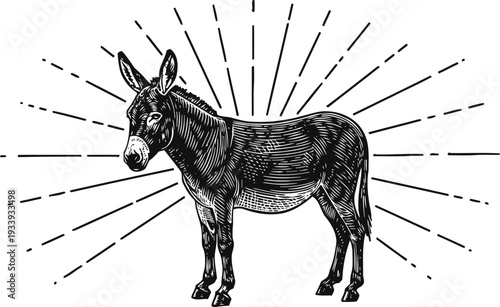 Vintage donkey illustration with radiant lines background, hand drawn farm animal sketch, rustic design
