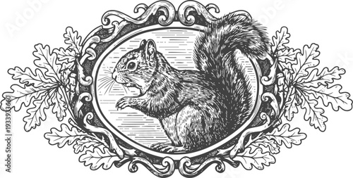 Vintage engraving of a squirrel inside ornate frame with oak leaves detailed line art