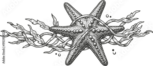 Detailed vintage starfish illustration with flowing seaweed and bubbles in black and white