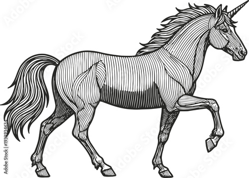 Detailed black and white unicorn illustration with flowing mane and tail, mythical fantasy horse drawing