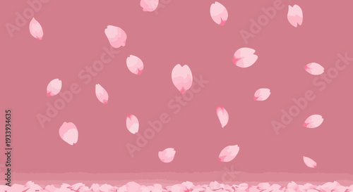 Falling Cherry Blossom Petals on Pink Background