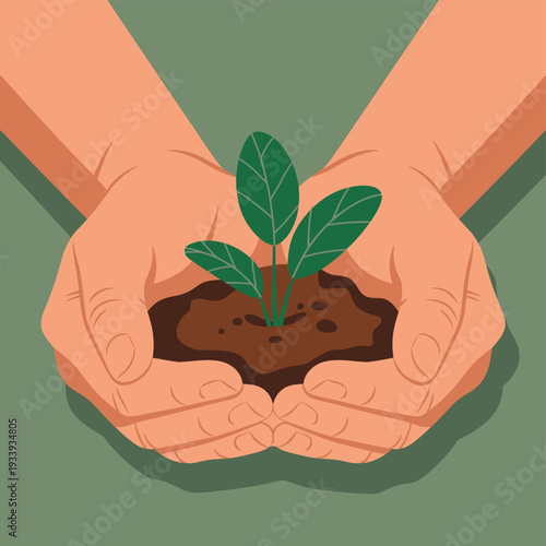 Hands holding a small green plant in soil green leaves 1