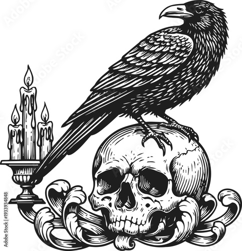 Raven perched on human skull with decorative leaves and a burning candle holder gothic dark illustration