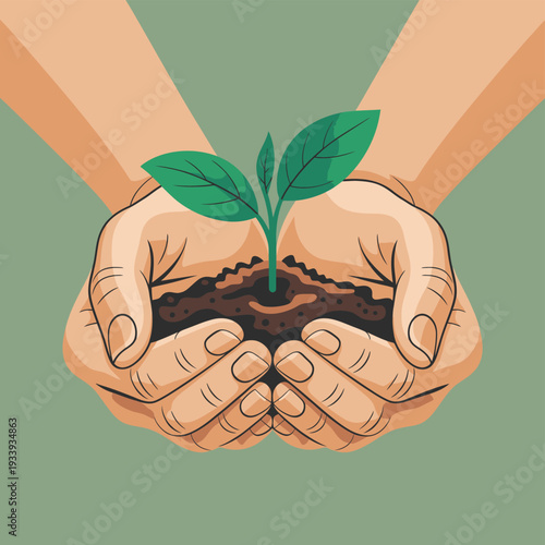 Hands Holding a Small Green Plant in Soil green leaves