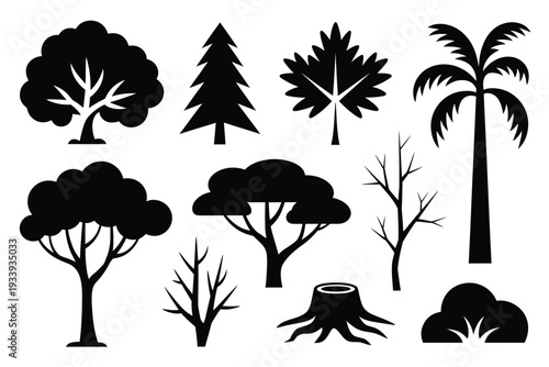 Minimalist black and white of various trees and a tree stump