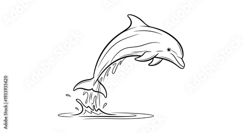 Dolphin Leaping from Water: A Detailed Line Art Illustration.