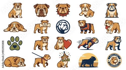 Collection of diverse illustrations featuring English Bulldogs in various poses and activities, showcasing their unique charm and personality.
