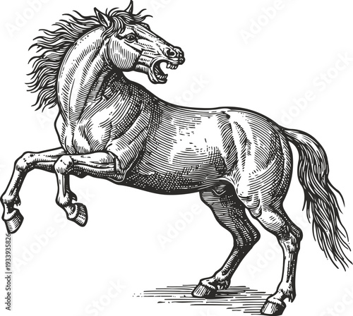 detailed vintage engraving of a rearing horse with flowing mane and fierce expression