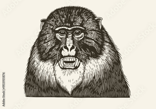 Detailed baboon portrait illustration with expressive facial features, fur texture, and intense gaze