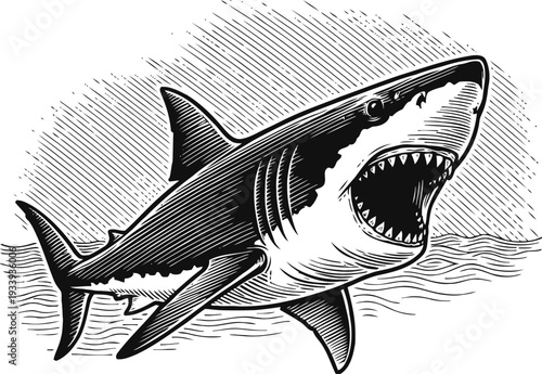 Great white shark with open mouth swimming in the ocean aggressive fish underwater, marine predator illustration