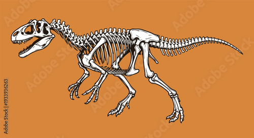 Detailed Allosaurus Skeleton Dinosaur Vector Illustration