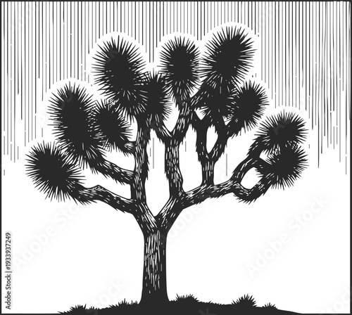Black and white illustration of a joshua tree with spiky leaves and textured bark