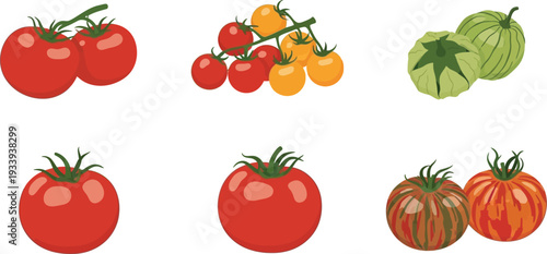 Assortment of fresh ripe tomatoes including red cherry and heirloom varieties for healthy eating and cooking