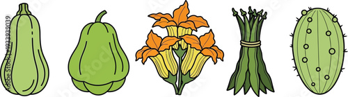 Set of five different fresh organic vegetables with transparent background for healthy eating and vegetarian lifestyle