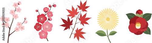 Set of traditional Japanese flowers including sakura plum blossoms red maple leaves yellow chrysanthemum and red camellia