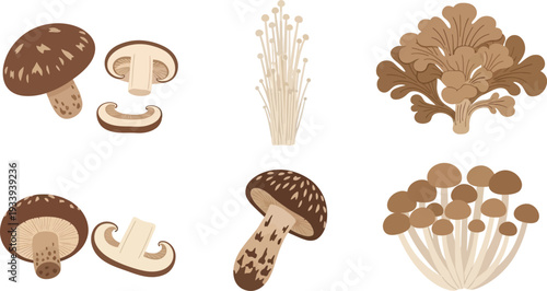 Variety of japanese mushrooms including shiitake, enoki, maitake, and shimeji, isolated for design